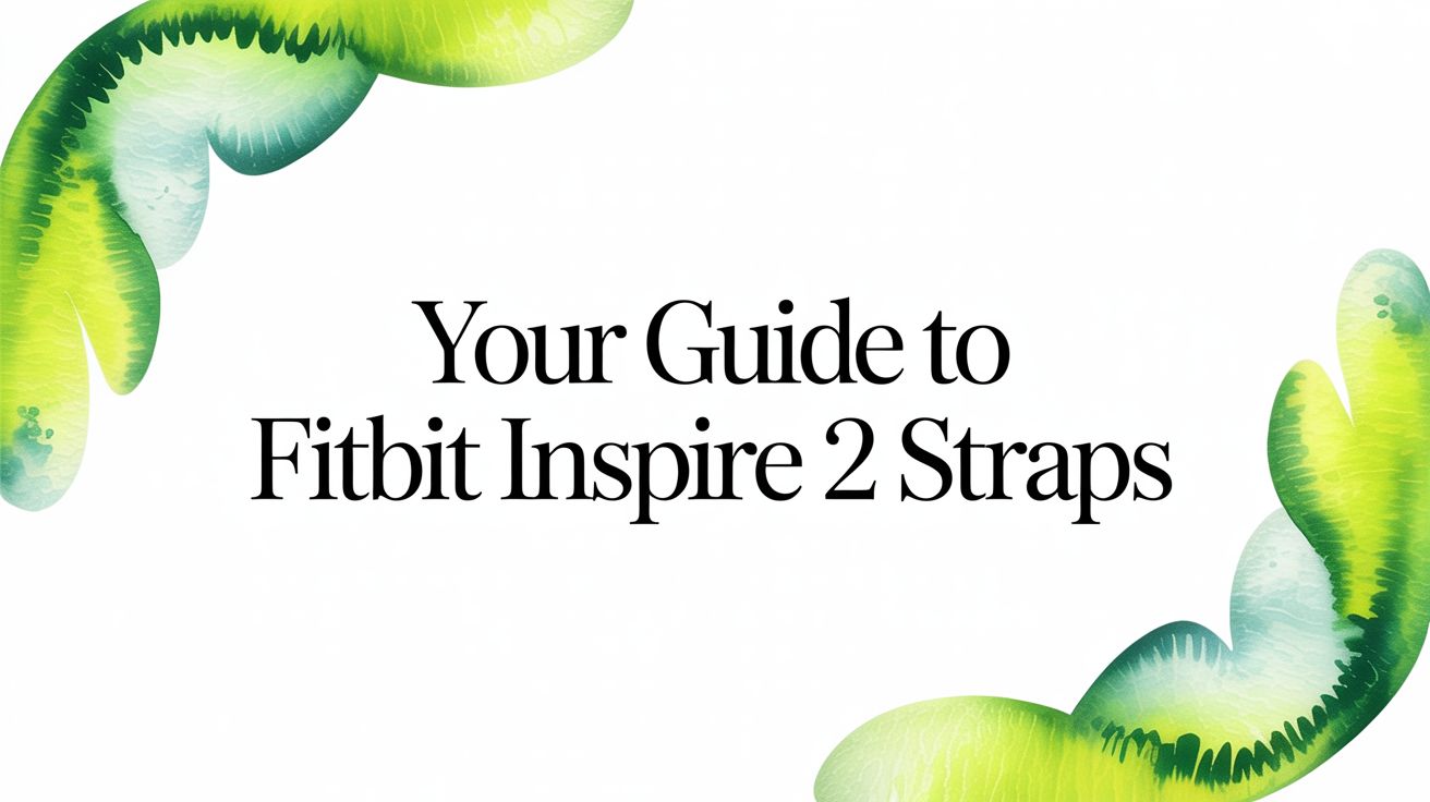 Image of Your Guide to Fitbit Inspire 2 Straps