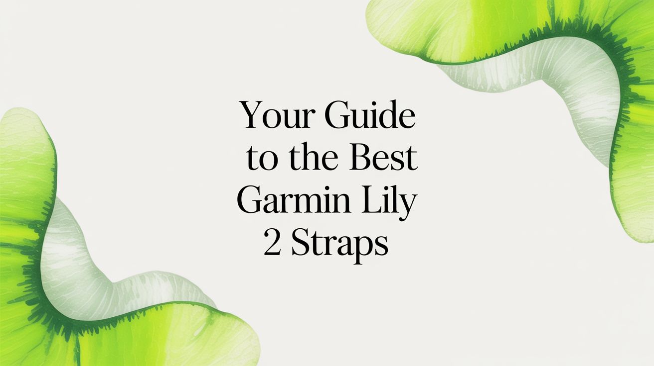 Image of Your Guide to the Best Garmin Lily 2 Straps