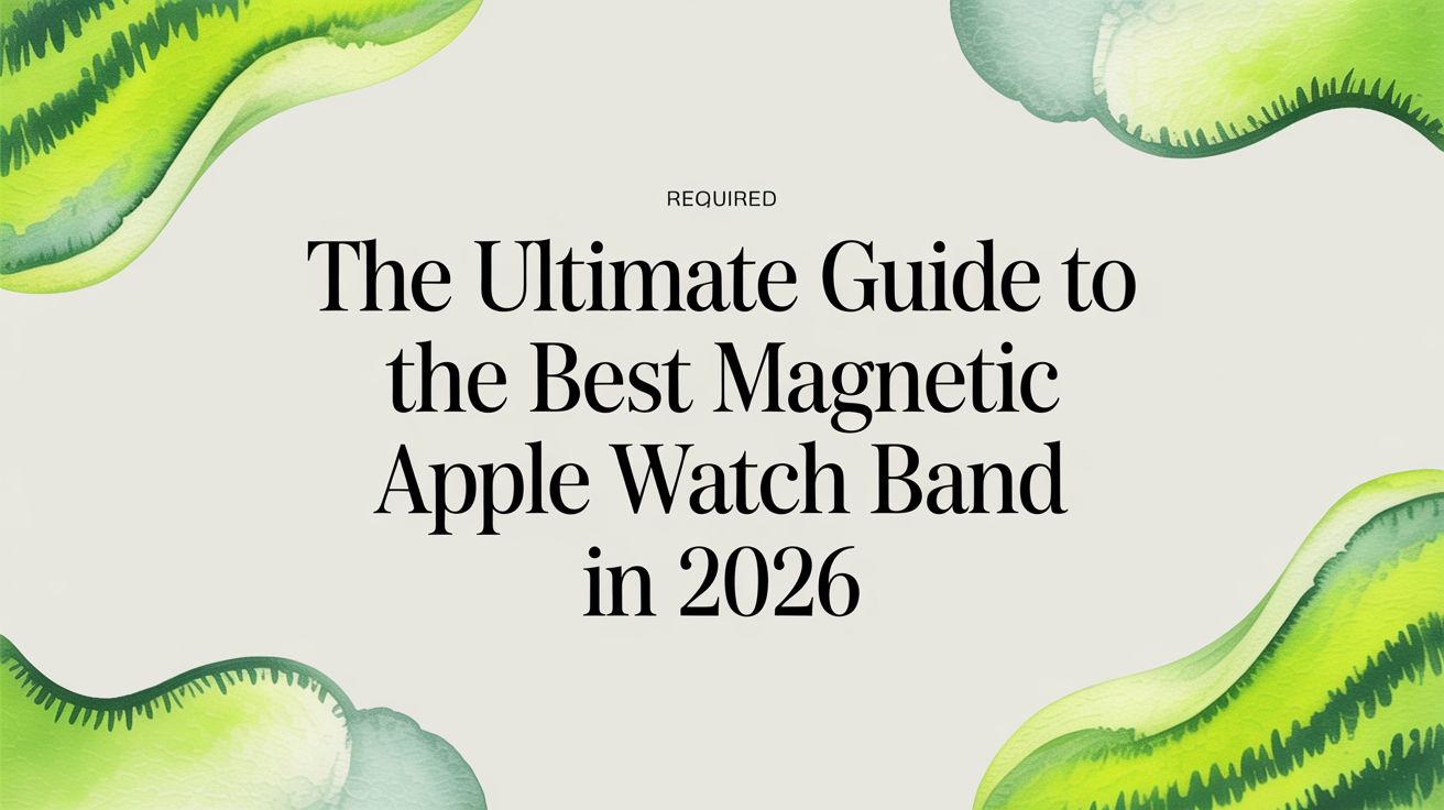 Image of The Ultimate Guide to the Best Magnetic Apple Watch Band in 2026